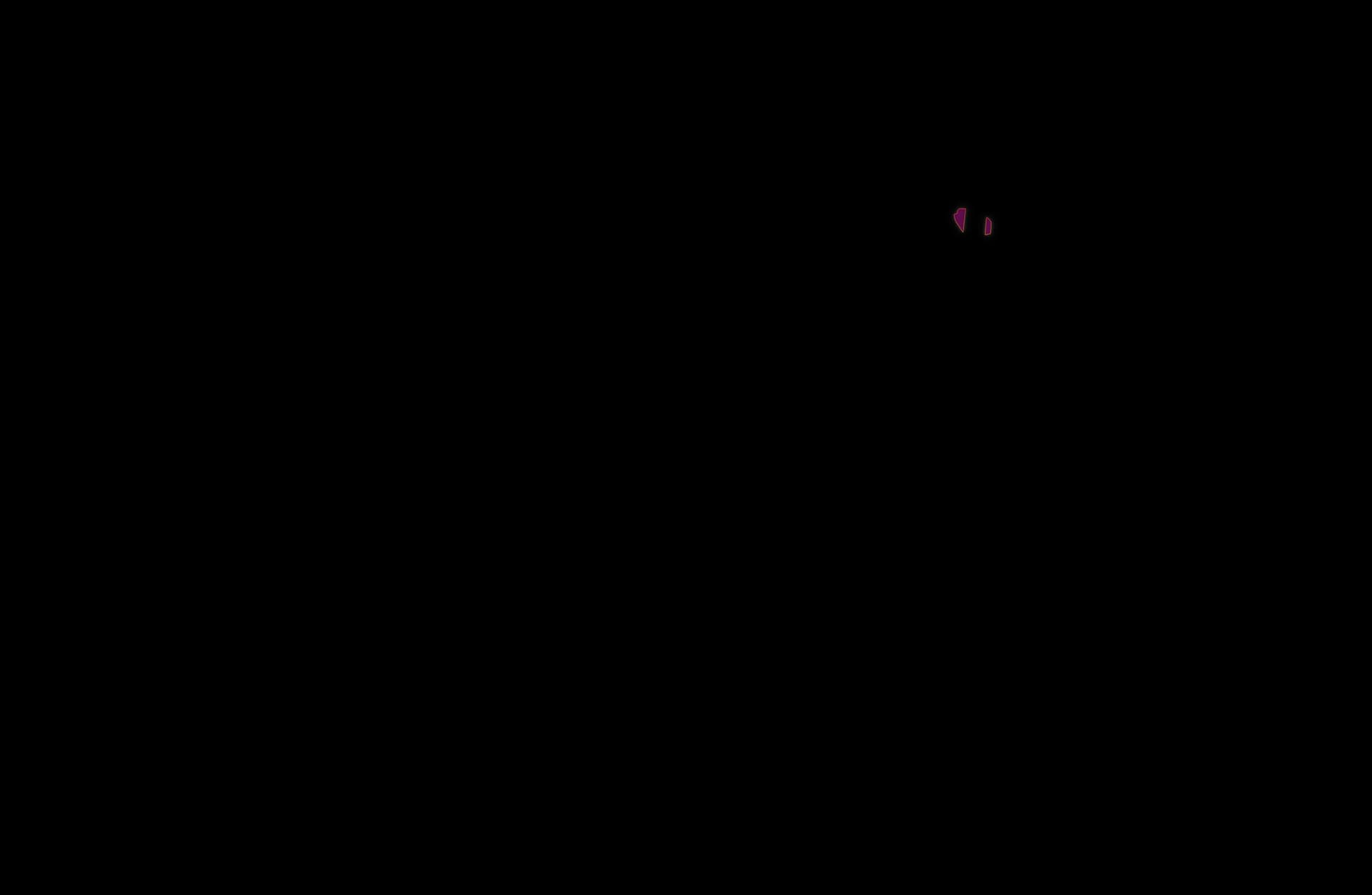 songlap